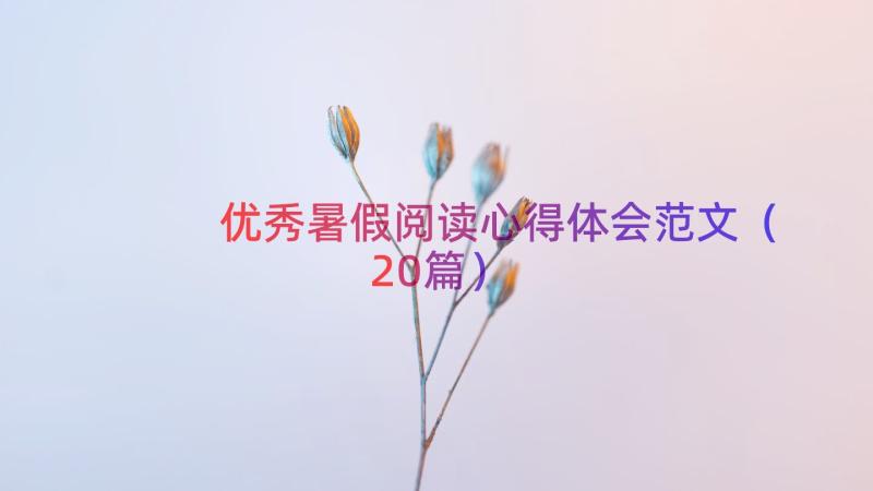 优秀暑假阅读心得体会范文（20篇）