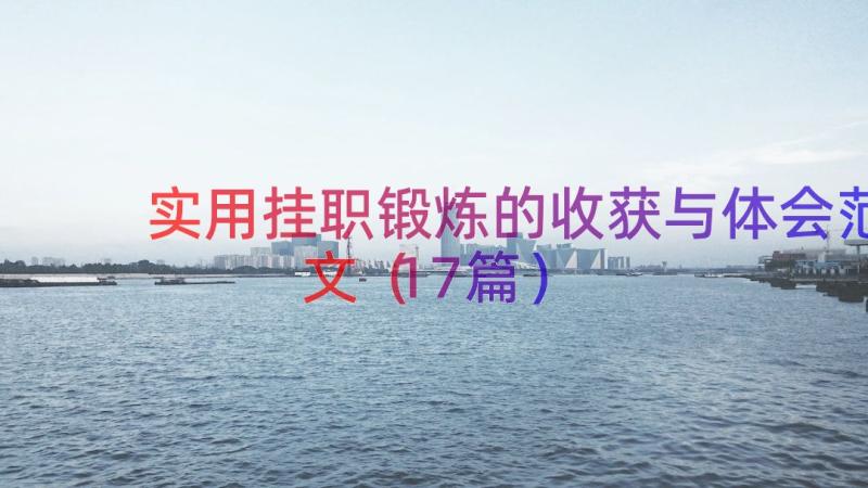 实用挂职锻炼的收获与体会范文（17篇）