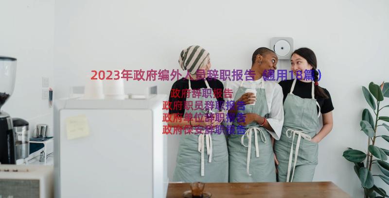 2023年政府编外人员辞职报告（通用18篇）