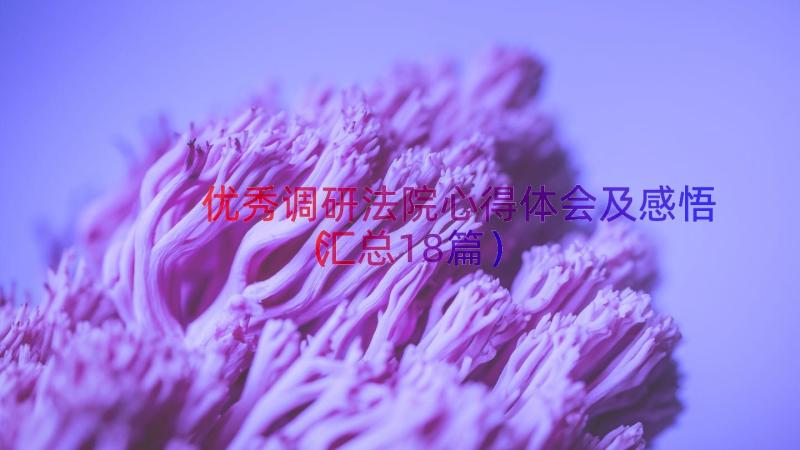 优秀调研法院心得体会及感悟（汇总18篇）