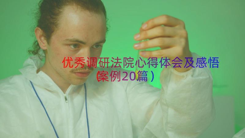 优秀调研法院心得体会及感悟（案例20篇）