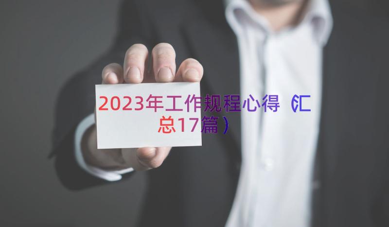 2023年工作规程心得（汇总17篇）