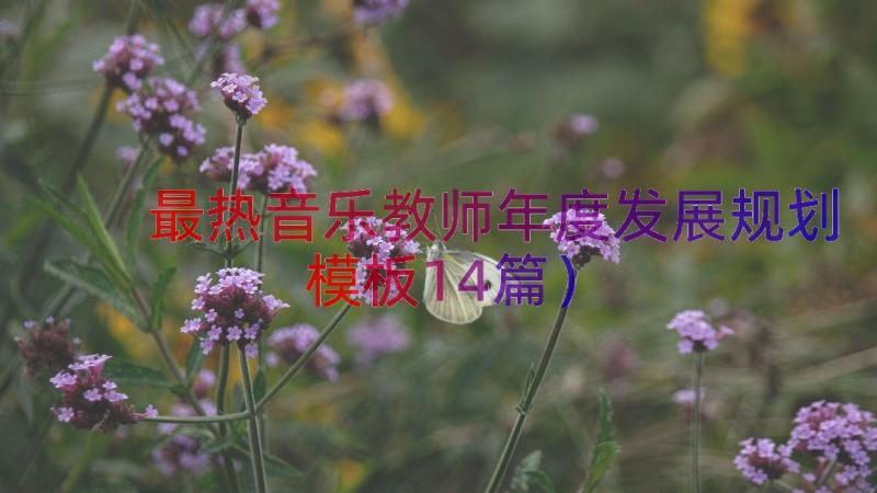 最热音乐教师年度发展规划（模板14篇）