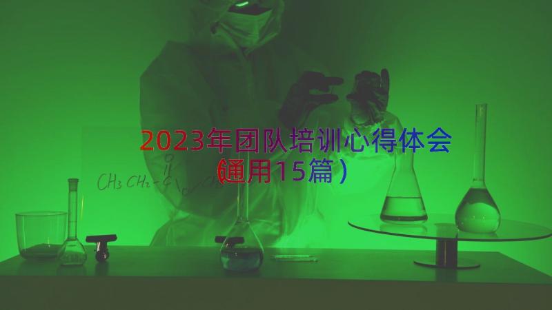 2023年团队培训心得体会（通用15篇）