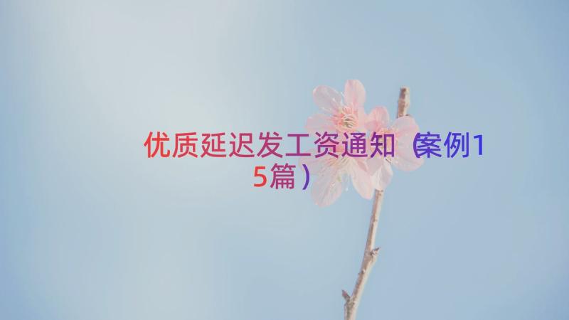 优质延迟发工资通知（案例15篇）