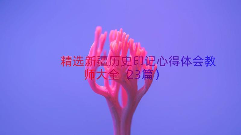 精选新疆历史印记心得体会教师大全（23篇）