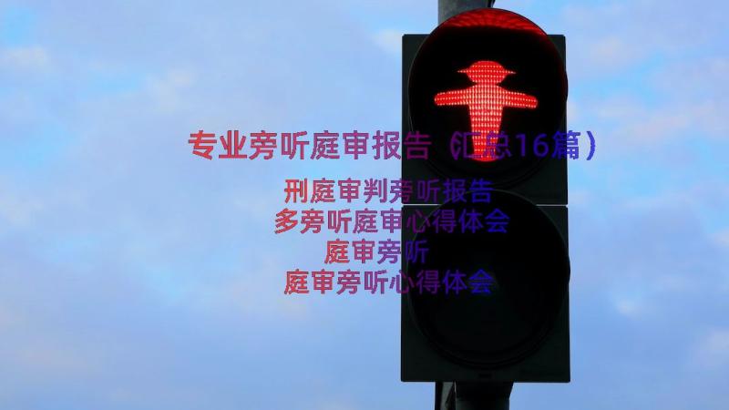 专业旁听庭审报告（汇总16篇）