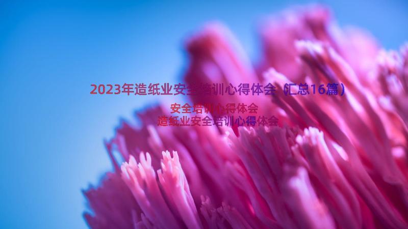 2023年造纸业安全培训心得体会（汇总16篇）