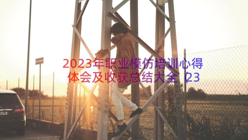 2023年职业模仿培训心得体会及收获总结大全（23篇）