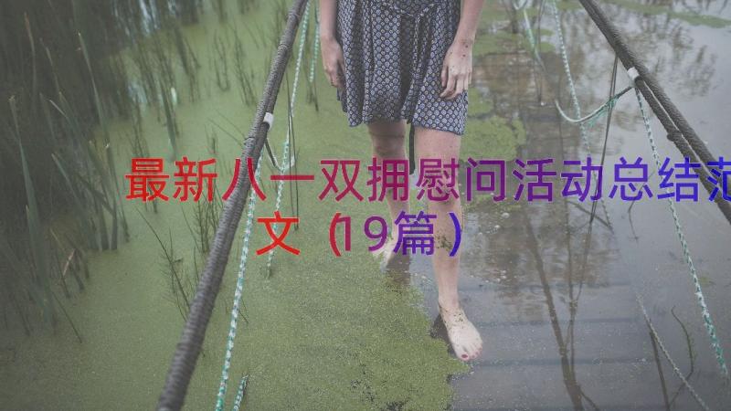 最新八一双拥慰问活动总结范文（19篇）