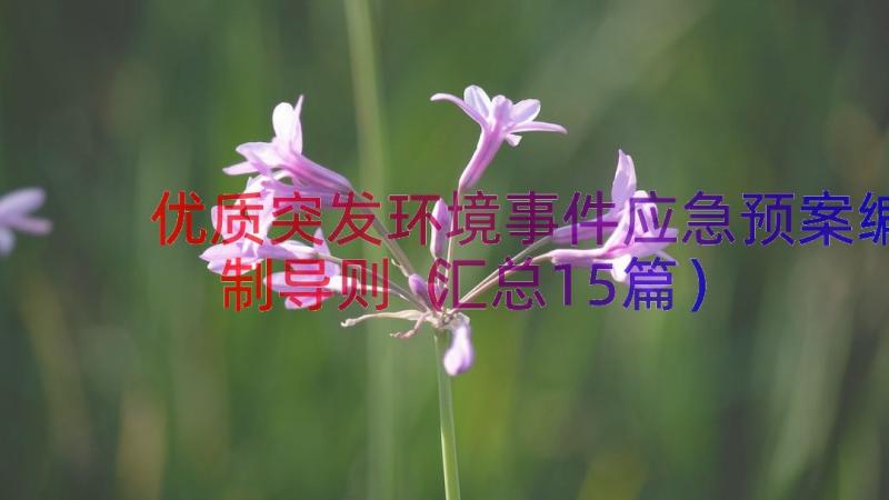 优质突发环境事件应急预案编制导则（汇总15篇）