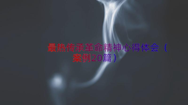 最热传承革命精神心得体会（案例20篇）