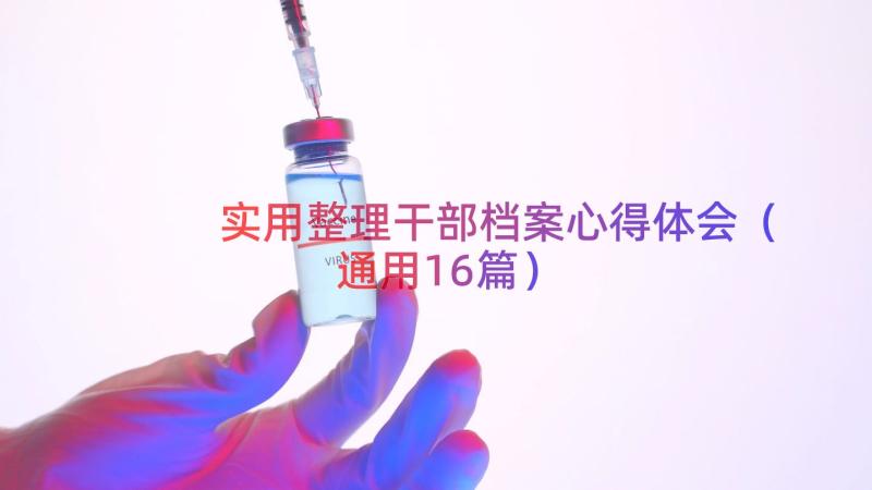 实用整理干部档案心得体会（通用16篇）