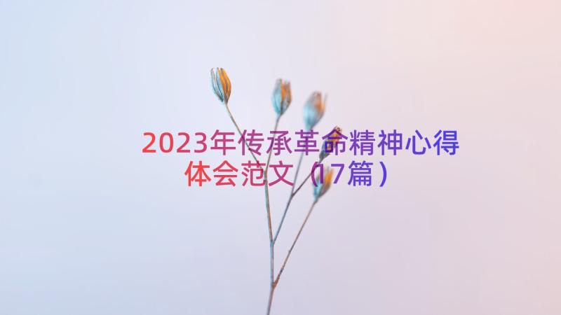 2023年传承革命精神心得体会范文（17篇）