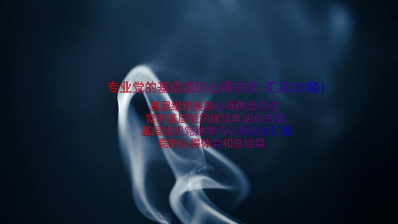 专业党的基层组织心得总结（汇总20篇）