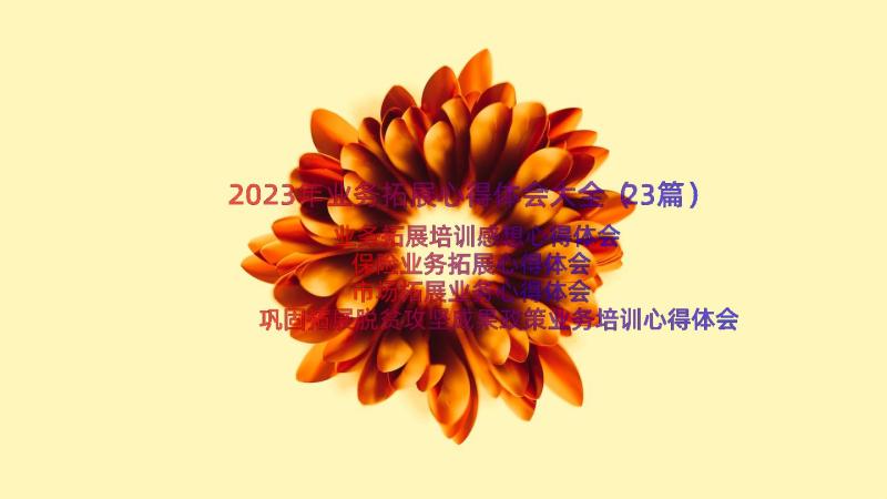 2023年业务拓展心得体会大全（23篇）