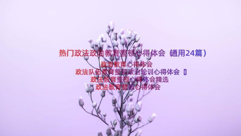 热门政法政治教育整顿心得体会（通用24篇）