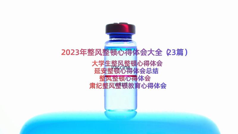 2023年整风整顿心得体会大全（23篇）