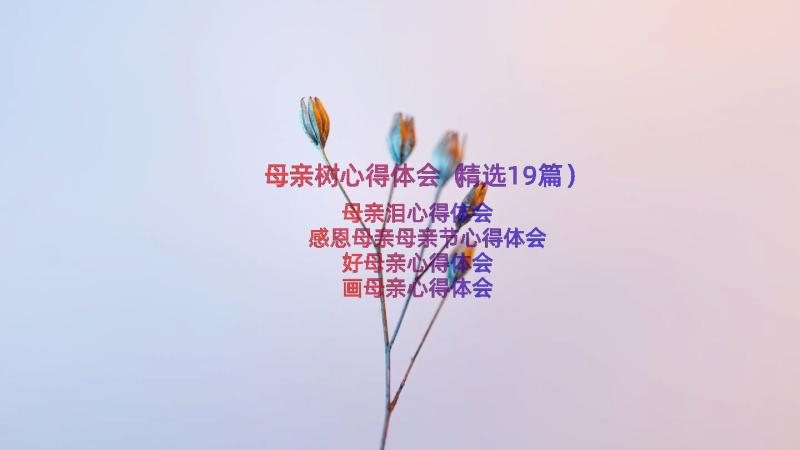 母亲树心得体会（精选19篇）