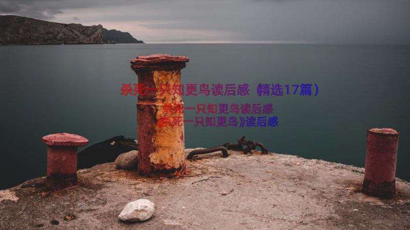 杀死一只知更鸟读后感（精选17篇）