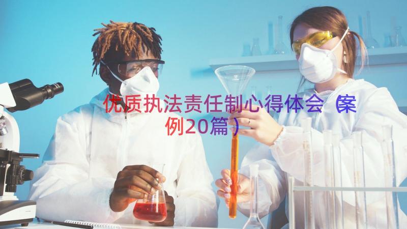 优质执法责任制心得体会（案例20篇）