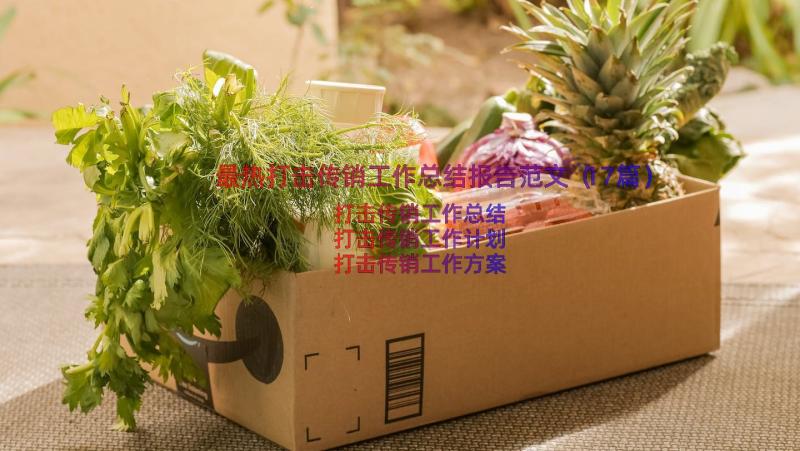 最热打击传销工作总结报告范文（17篇）