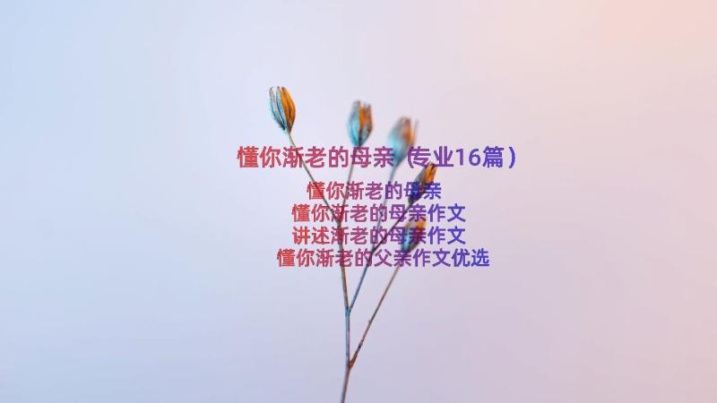 懂你渐老的母亲（专业16篇）