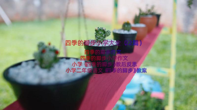 四季的脚步小学大全（22篇）