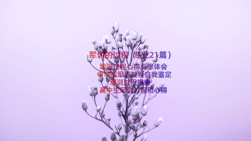 军训的过程（专业21篇）