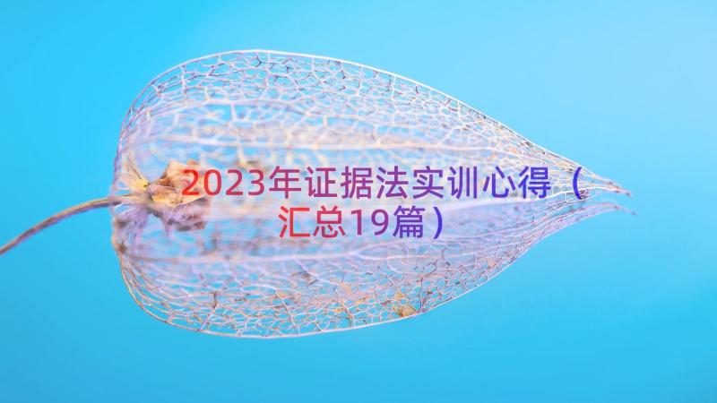 2023年证据法实训心得（汇总19篇）