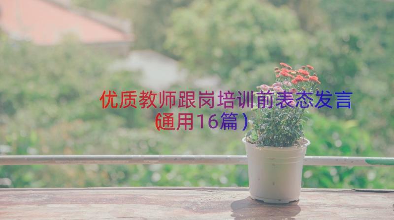 优质教师跟岗培训前表态发言（通用16篇）