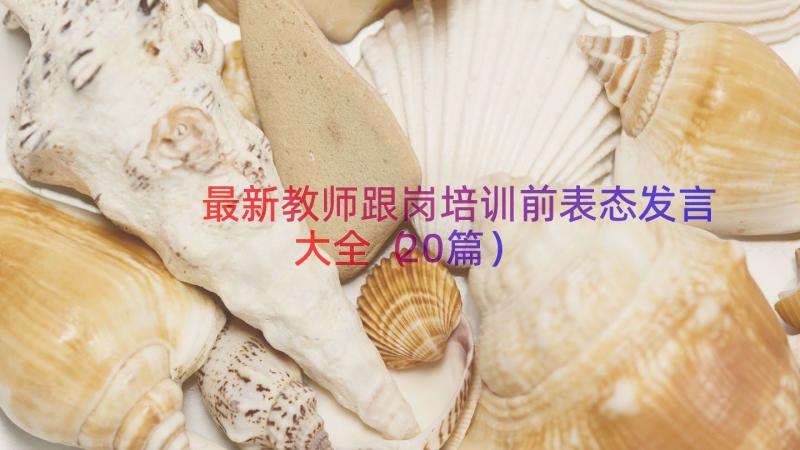 最新教师跟岗培训前表态发言大全（20篇）