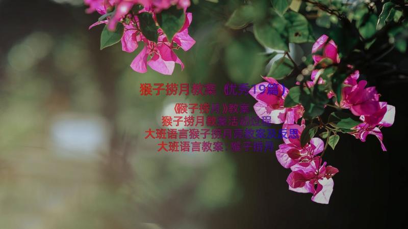 猴子捞月教案（优秀19篇）