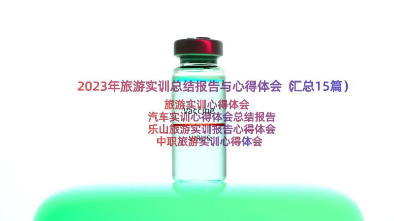 2023年旅游实训总结报告与心得体会（汇总15篇）