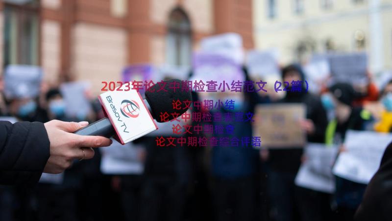 2023年论文中期检查小结范文（22篇）