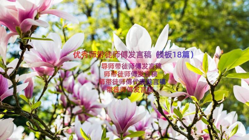 优秀师带徒师傅发言稿（模板18篇）