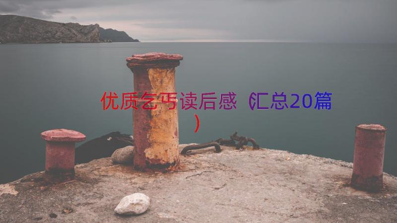 优质乞丐读后感（汇总20篇）