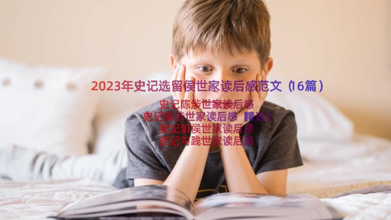 2023年史记选留侯世家读后感范文（16篇）