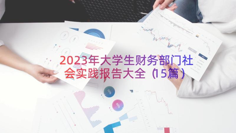 2023年大学生财务部门社会实践报告大全（15篇）