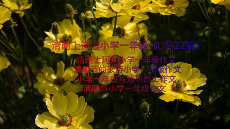 清明上河园小学一年级（汇总22篇）