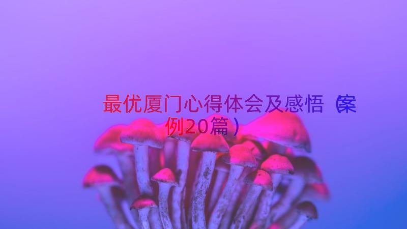 最优厦门心得体会及感悟（案例20篇）