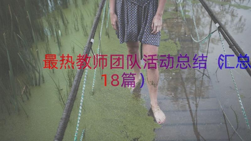 最热教师团队活动总结（汇总18篇）