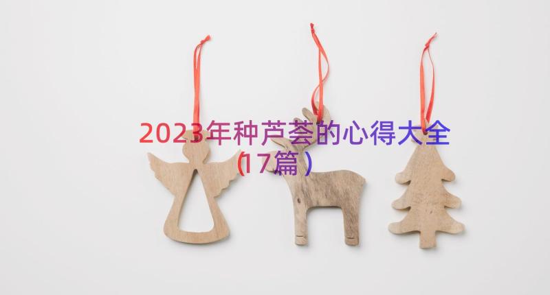 2023年种芦荟的心得大全（17篇）