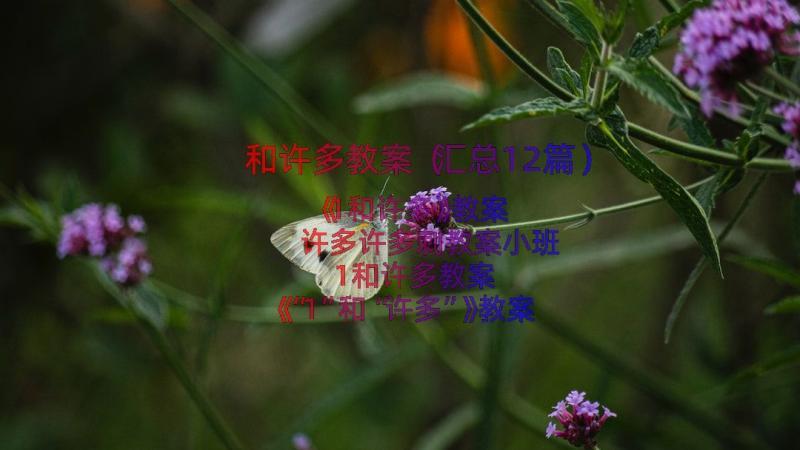 和许多教案（汇总12篇）