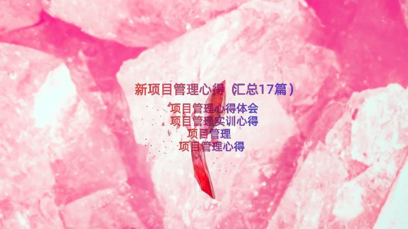 新项目管理心得（汇总17篇）