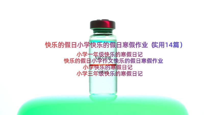 快乐的假日小学快乐的假日寒假作业（实用14篇）