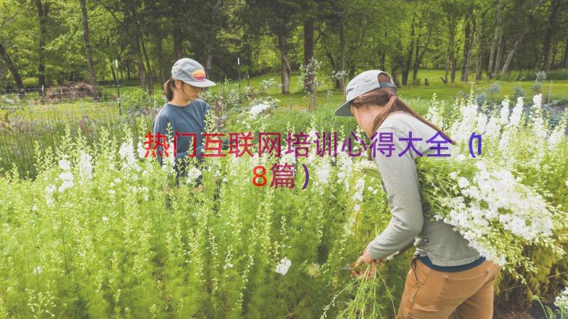 热门互联网培训心得大全（18篇）