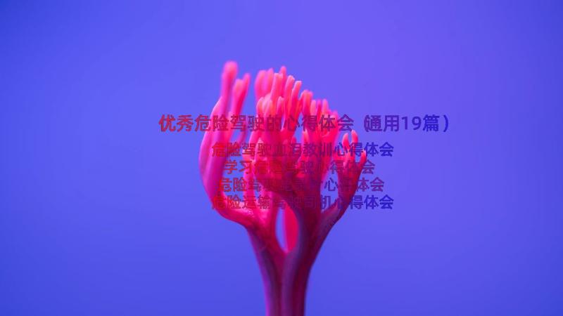 优秀危险驾驶的心得体会（通用19篇）