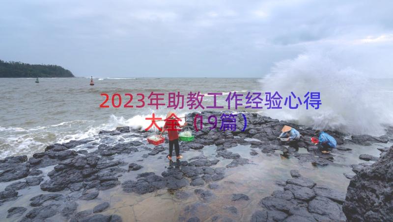 2023年助教工作经验心得大全（19篇）