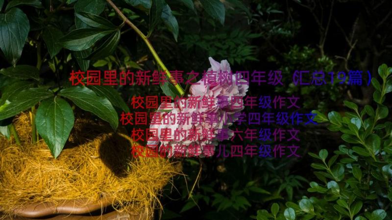 校园里的新鲜事之植树四年级（汇总19篇）